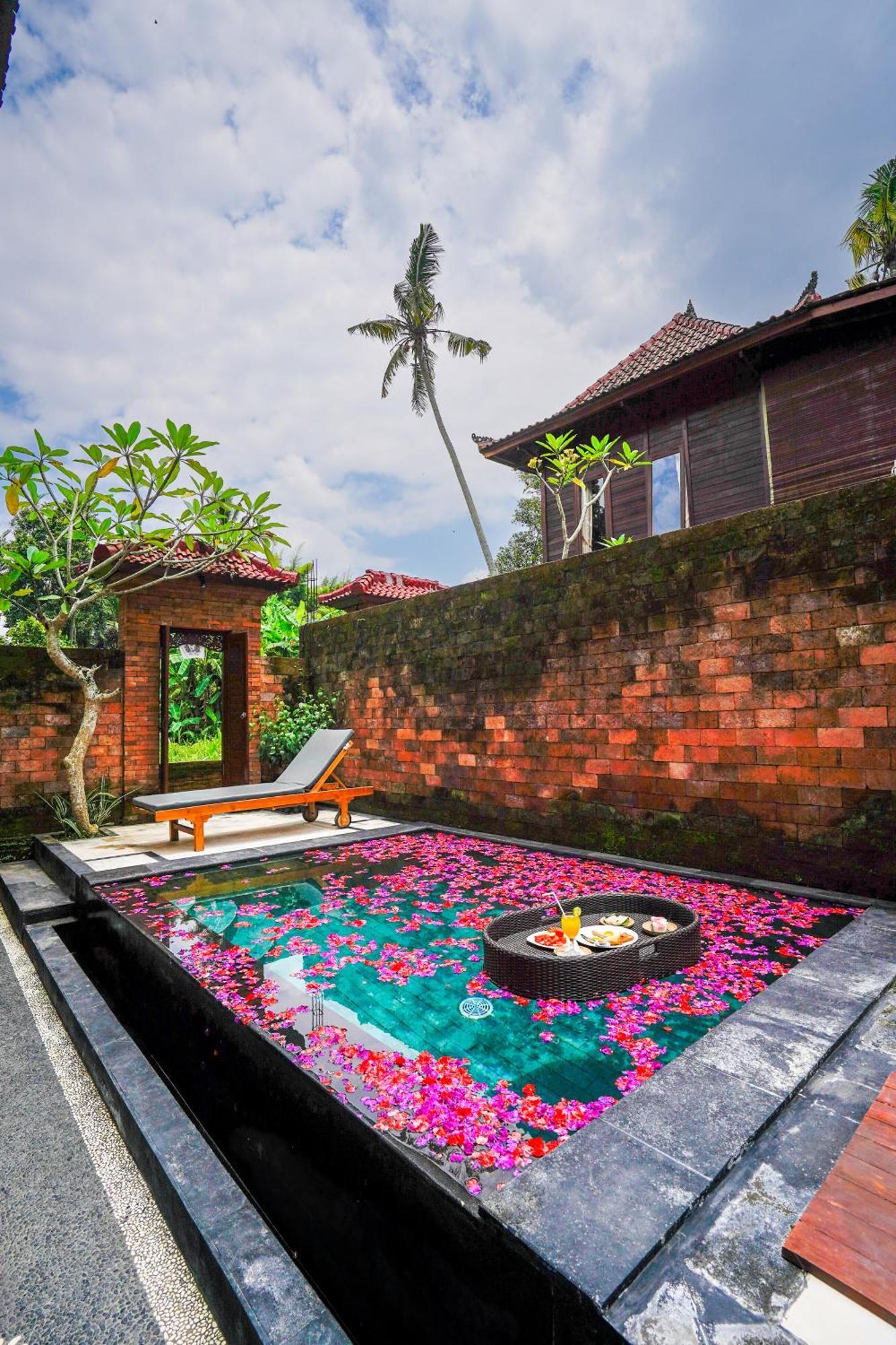 Ubud Sawah Scenery And