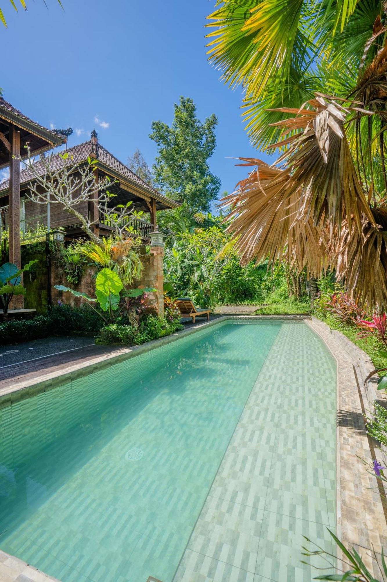 Séjour chez l'habitant Ubud Sawah Scenery And