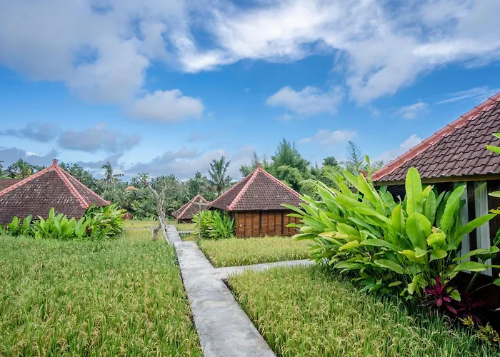 Ubud Sawah Scenery Villa And Homestay