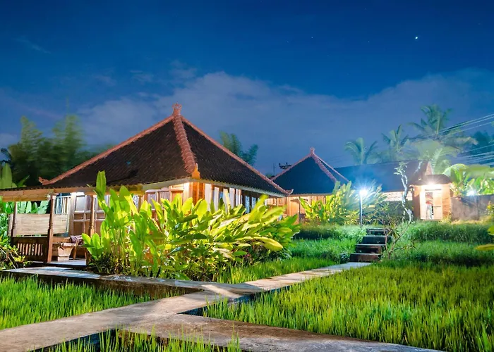 Ubud Sawah Scenery Villa And Homestay