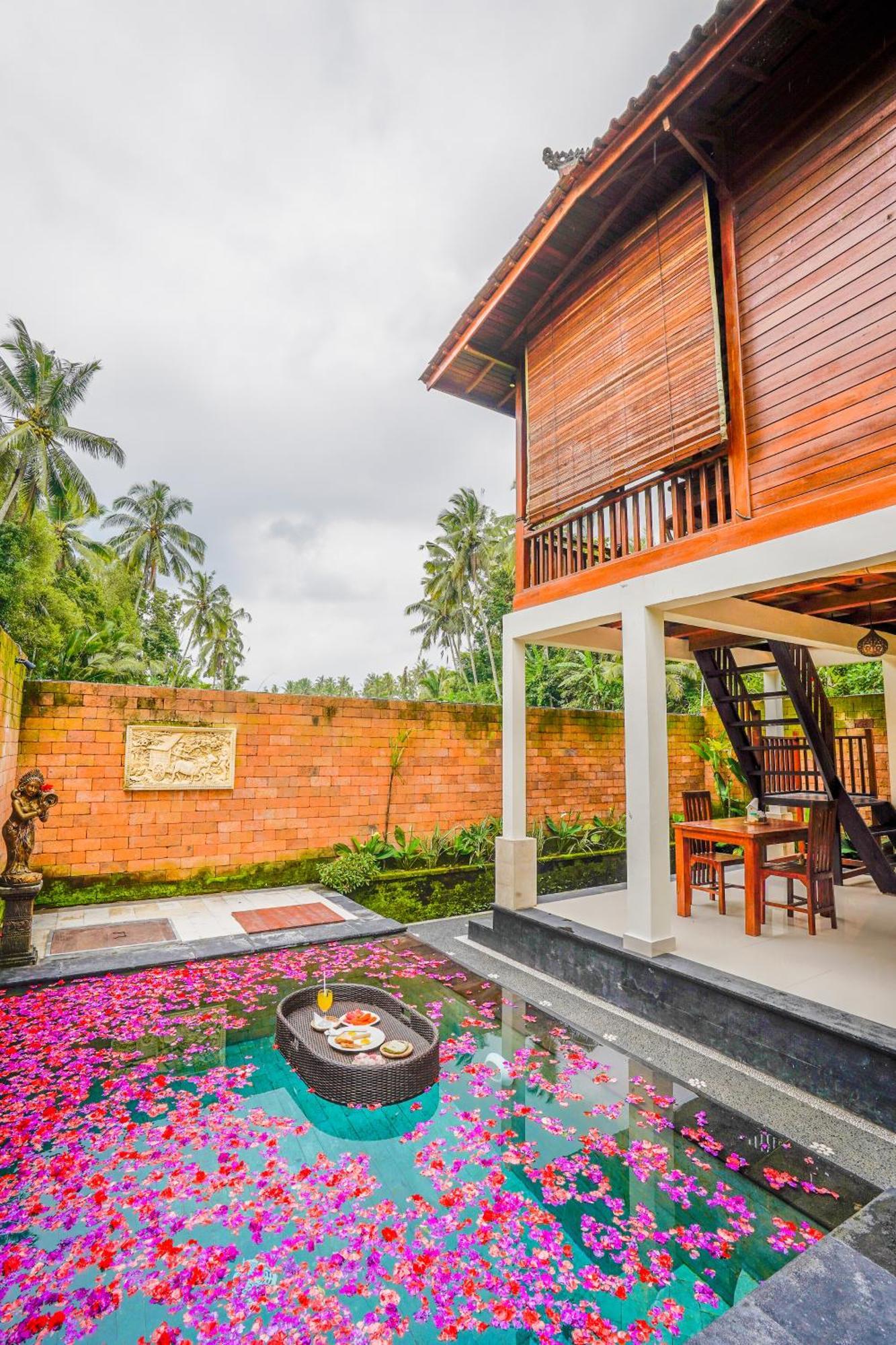 Ubud Sawah Scenery And *