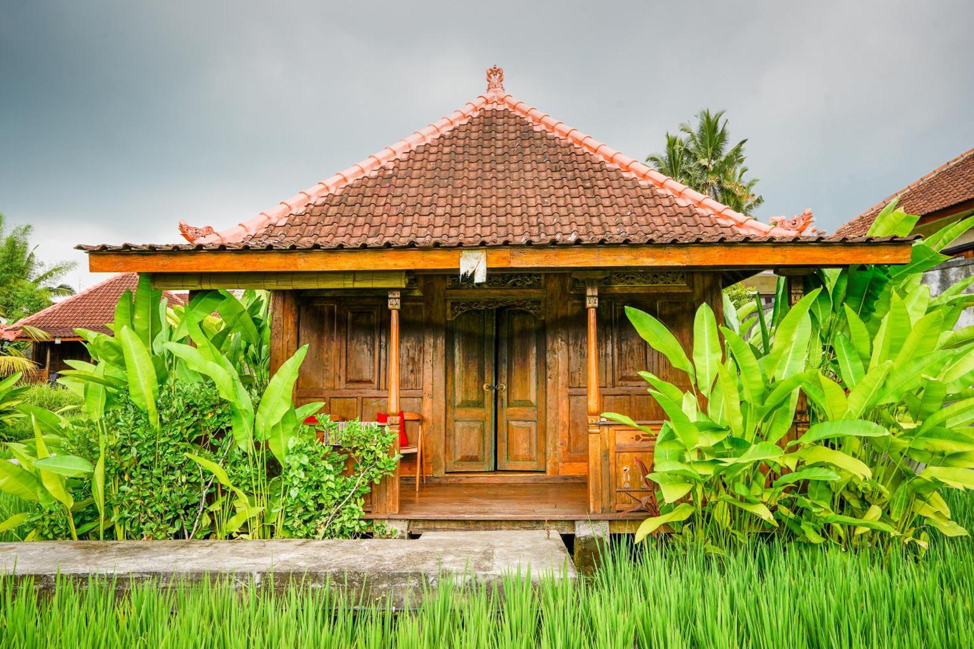 Ubud Sawah Scenery And * Tegallalang (Bali)