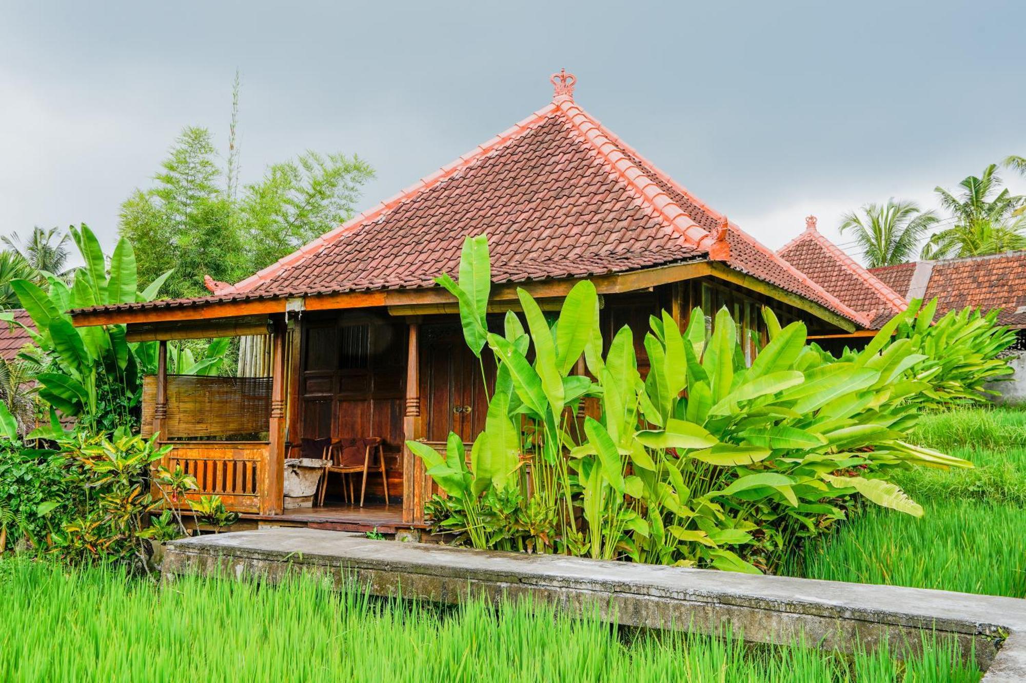 Ubud Sawah Scenery And Tegallalang (Bali)