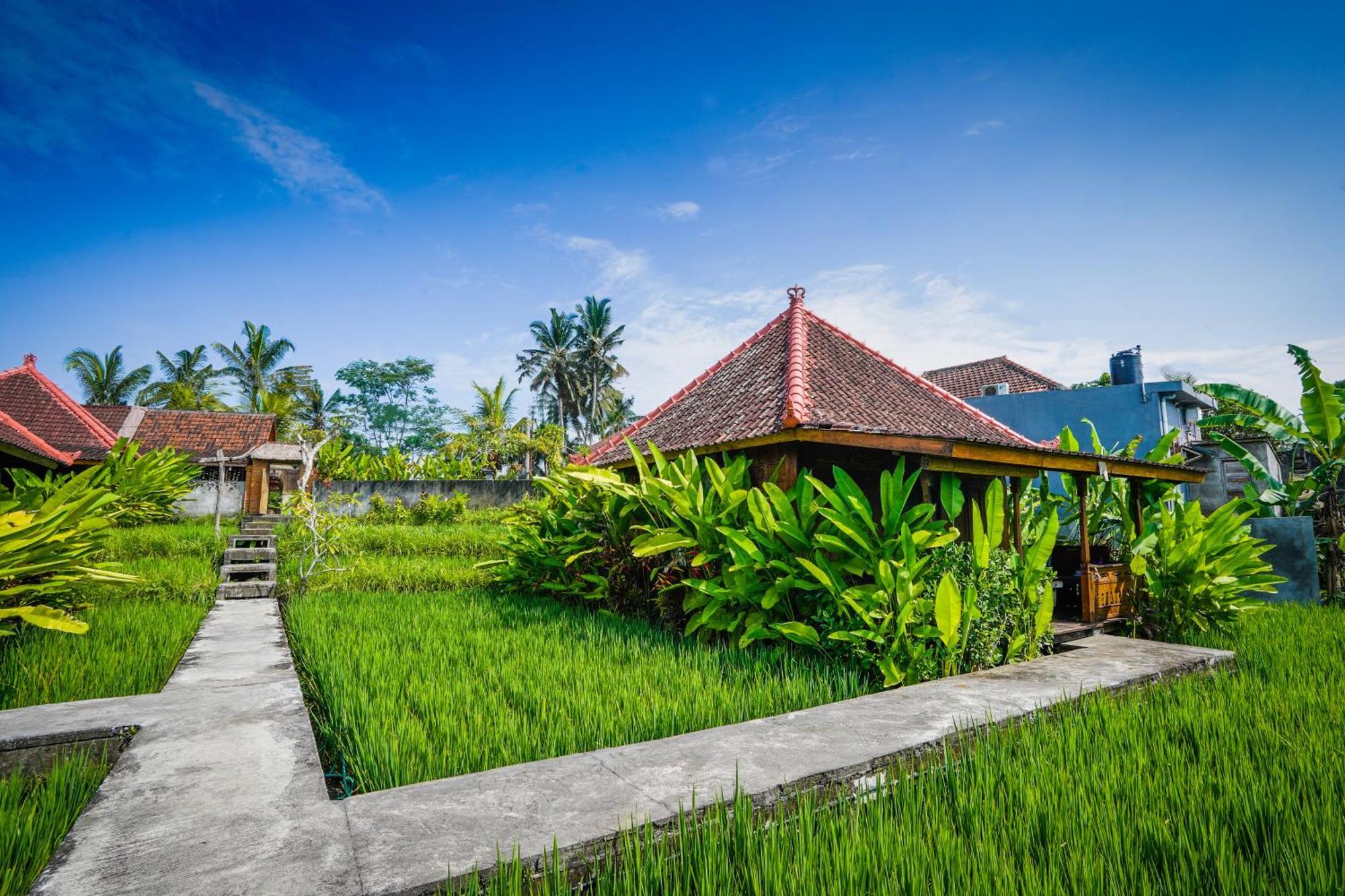 Ubud Sawah Scenery And * Tegallalang (Bali)
