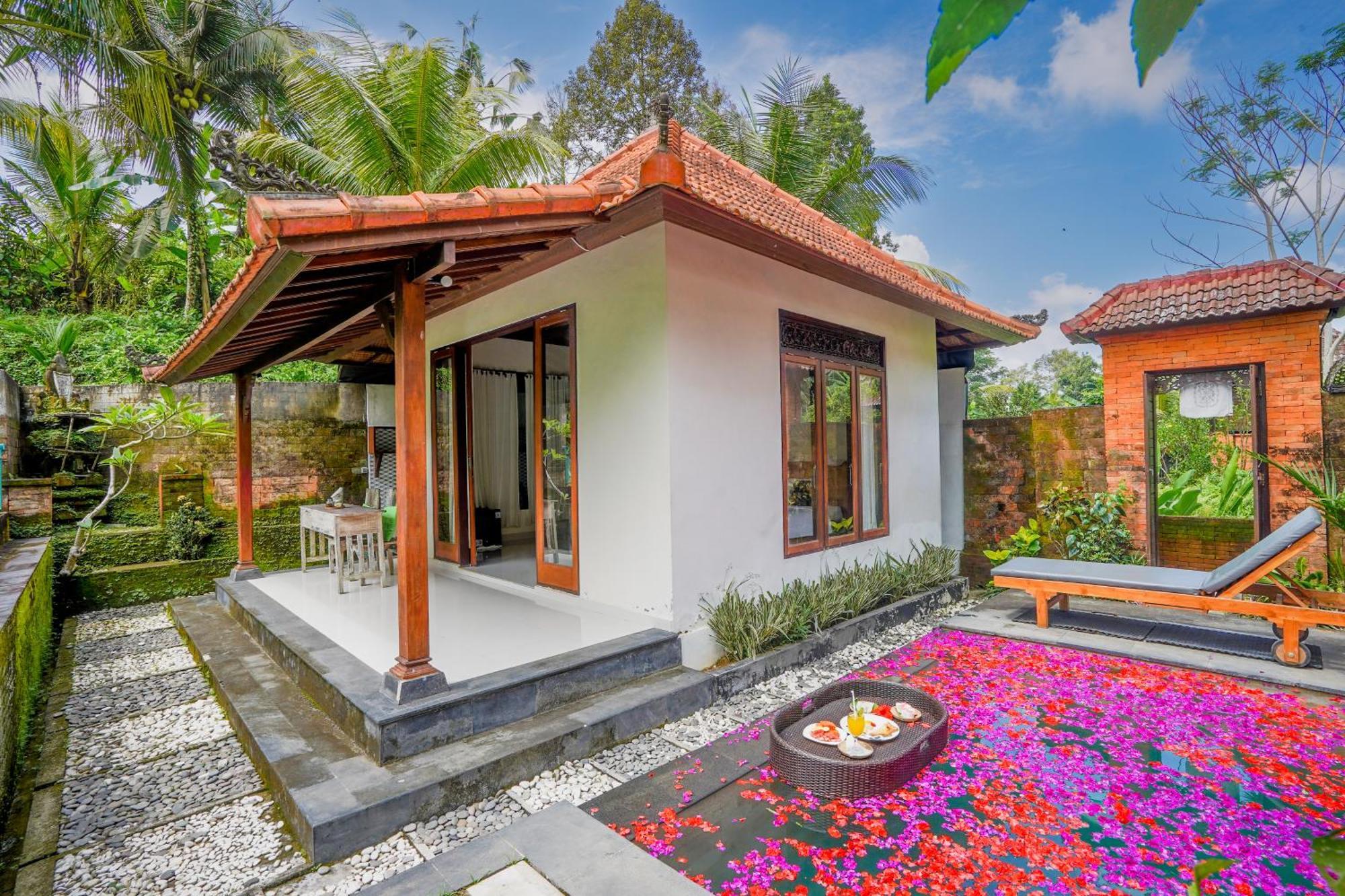 Ubud Sawah Scenery And