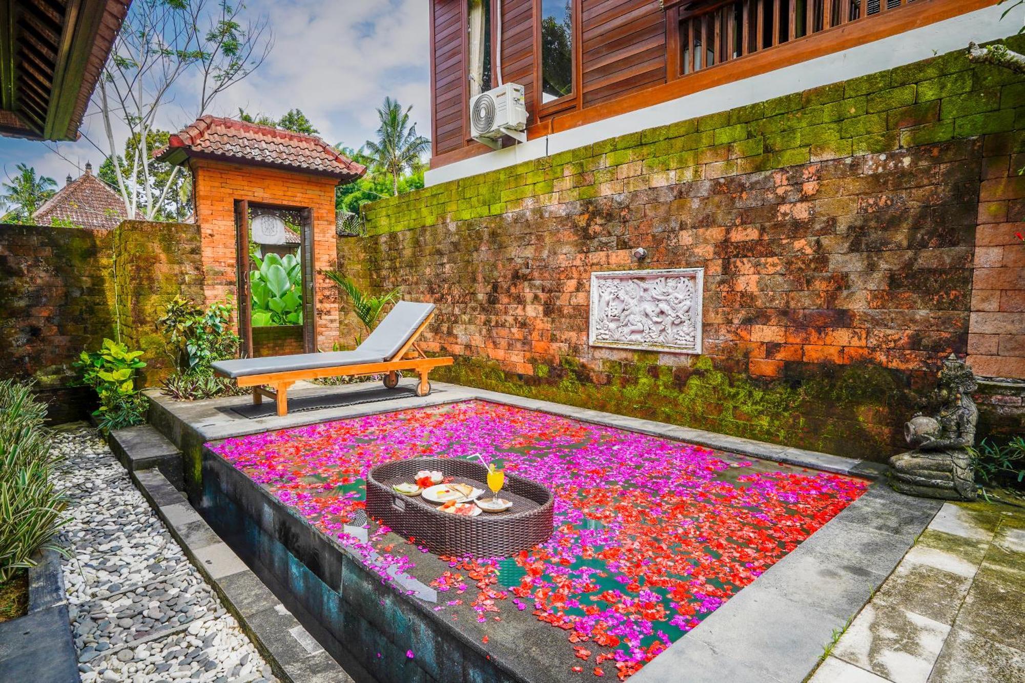 Ubud Sawah Scenery And Privatunterkunft