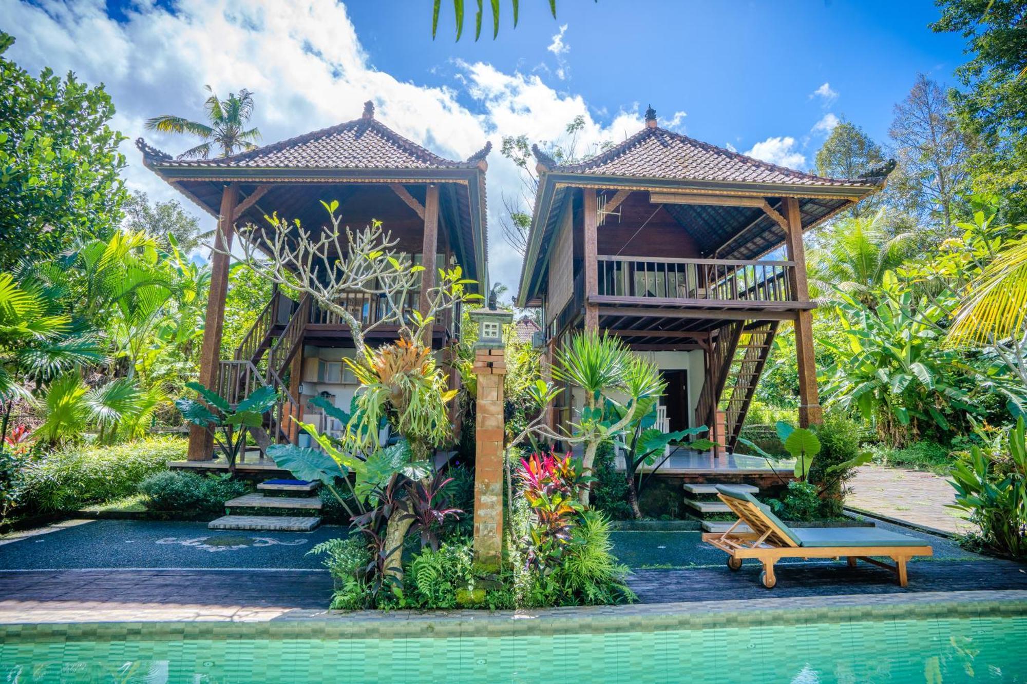 Ubud Sawah Scenery And *