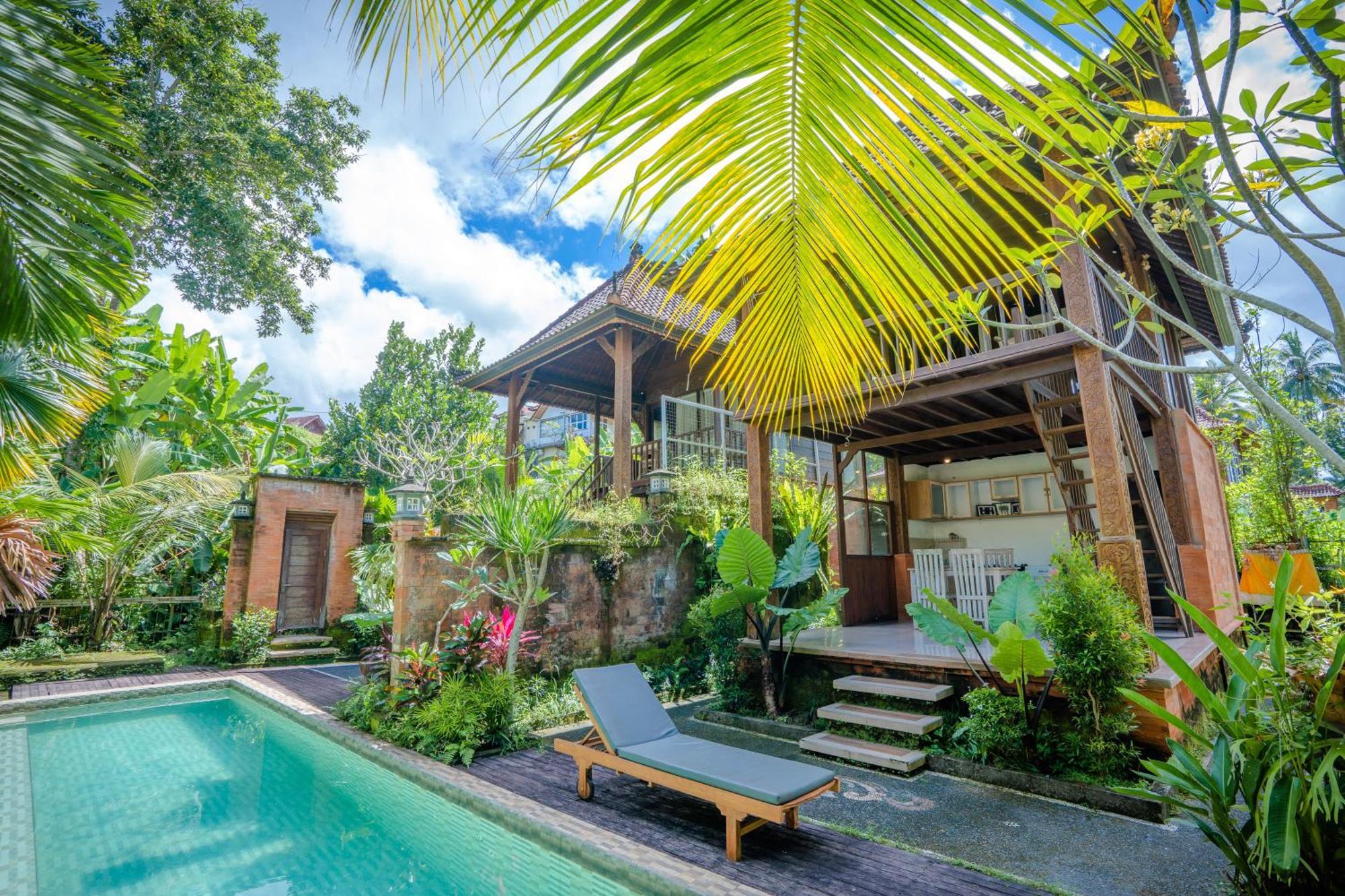 Ubud Sawah Scenery And Privatunterkunft