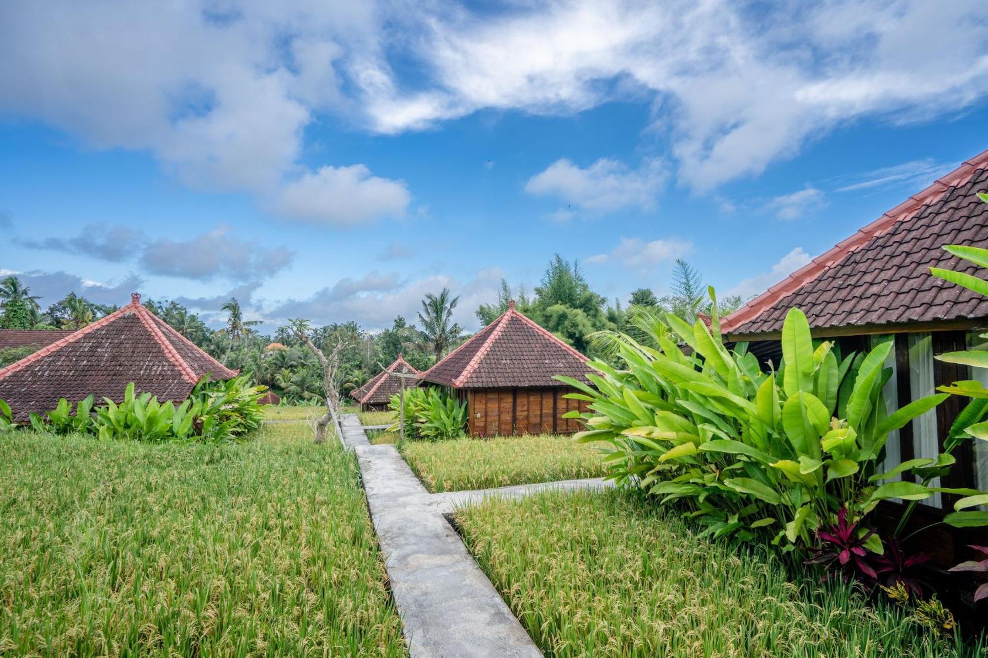 Ubud Sawah Scenery And * Tegallalang (Bali)